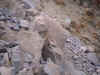 2DSC00017.JPG (97916 bytes)