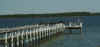 Florida birds are very gregarious.jpg (36048 bytes)